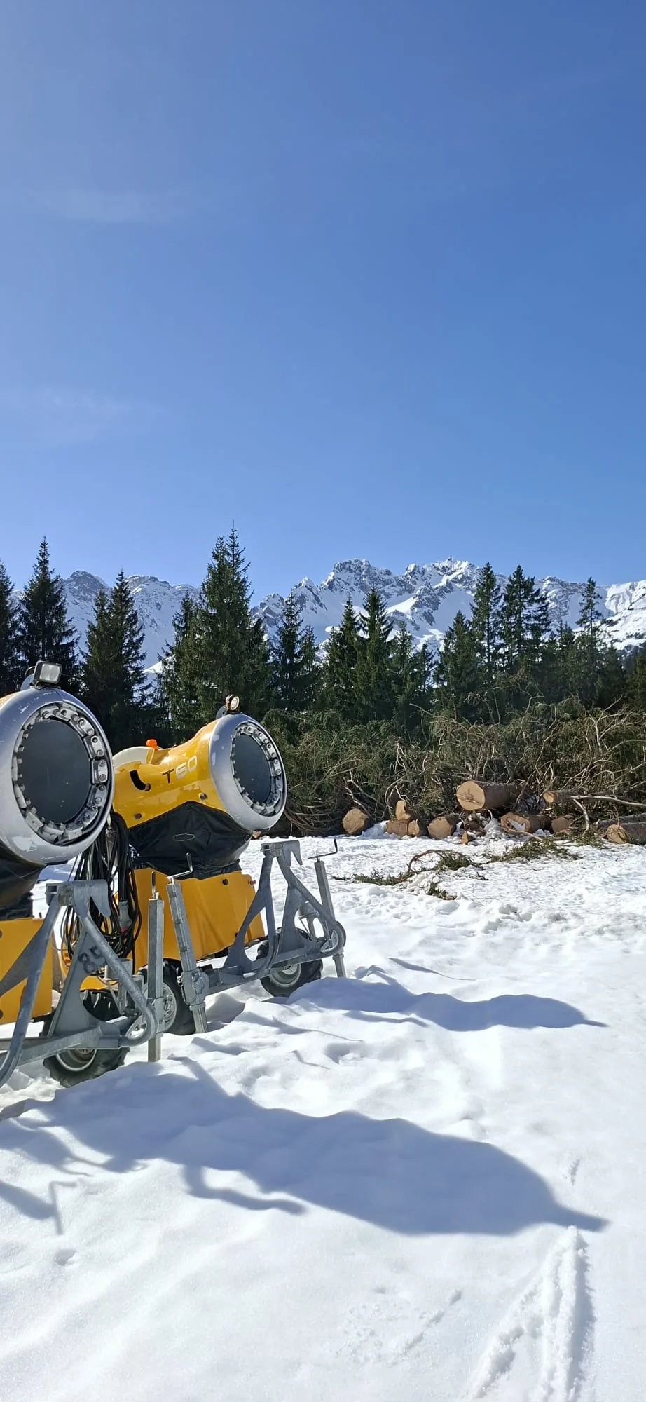 Gelbe Schneekanonen stehen im Schnee am Fellhorn neben gefällten Fichten und gestapelten Baumstämmen, im Hintergrund die schneebedeckten Allgäuer Alpen.