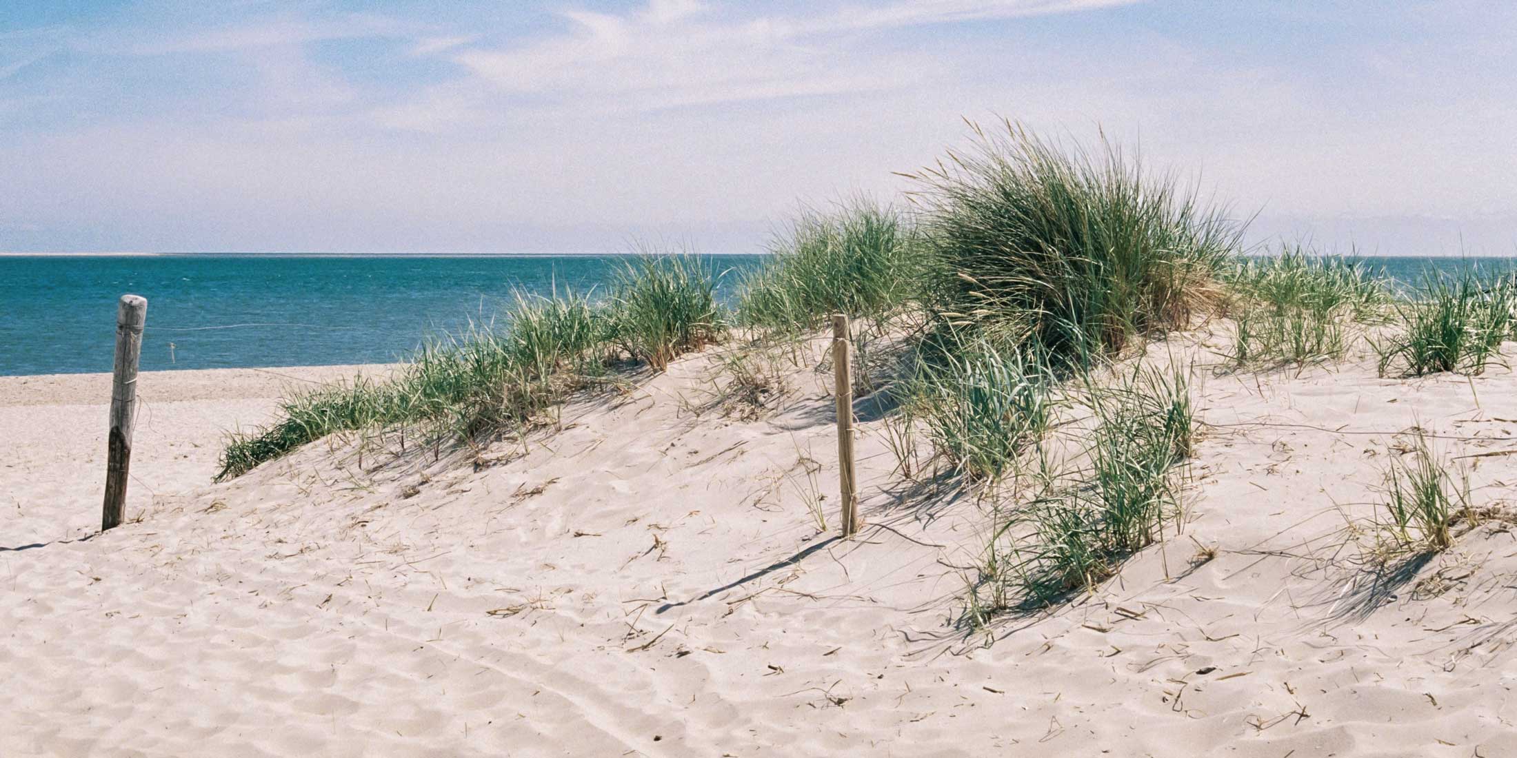 Dünen als Symbol für Naturschutz und lebendige Gemeinschaften.