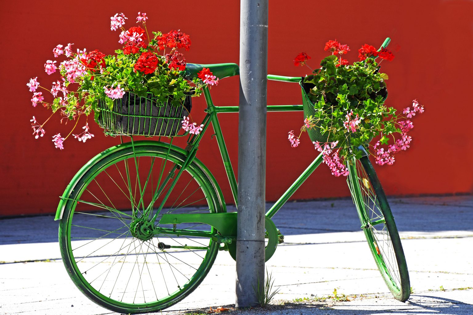 Fahrrad mit Blumen