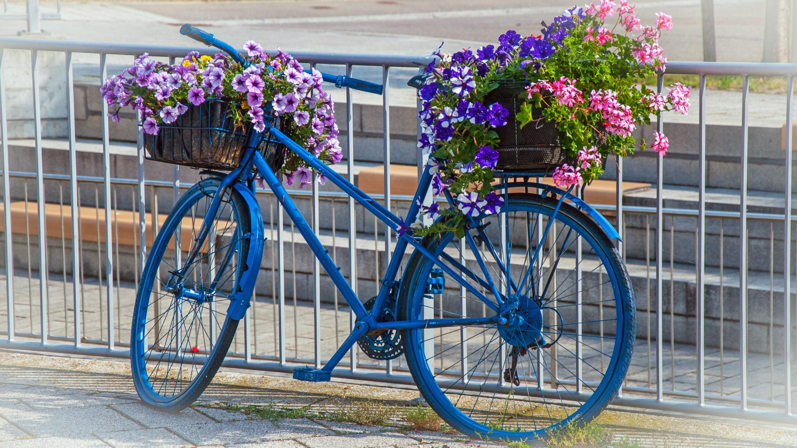 Blaues Fahrrad