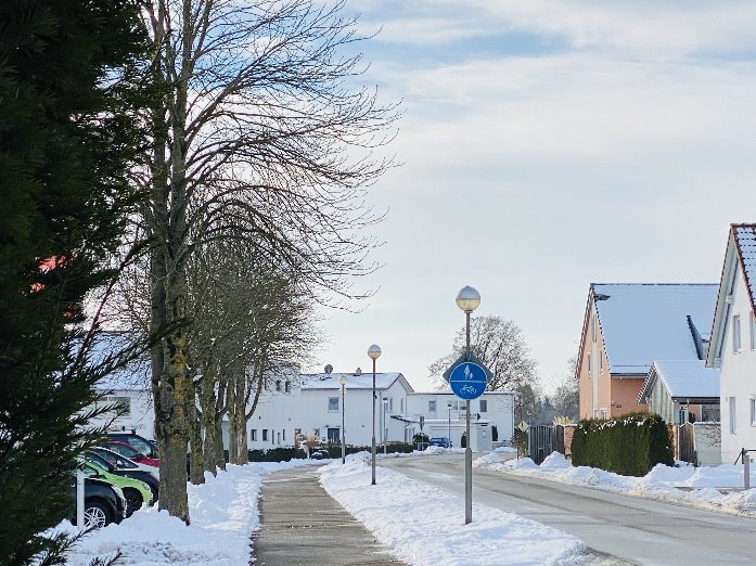 „Das Baumdrama von Bellenberg“ – Kommentar von Stefan Nußbaumer
