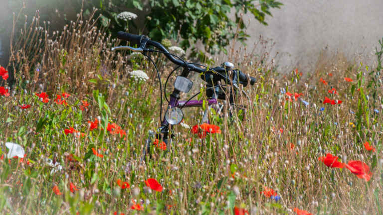 Grüner Antrag abgelehnt: „Nein“ zur Fahrradstraße in Pfaffenhofen