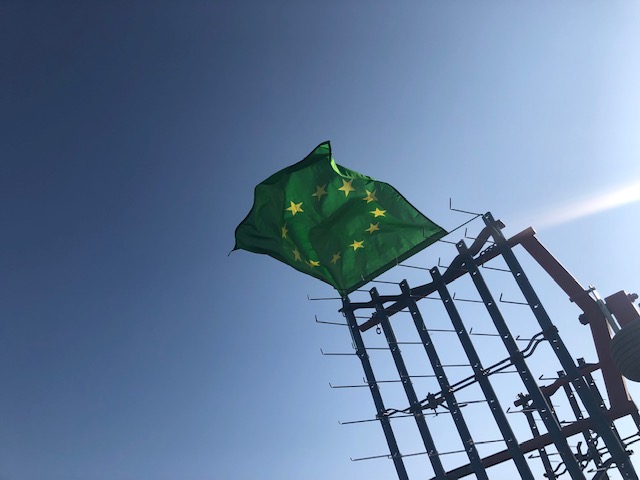 Von wegen Unkraut!