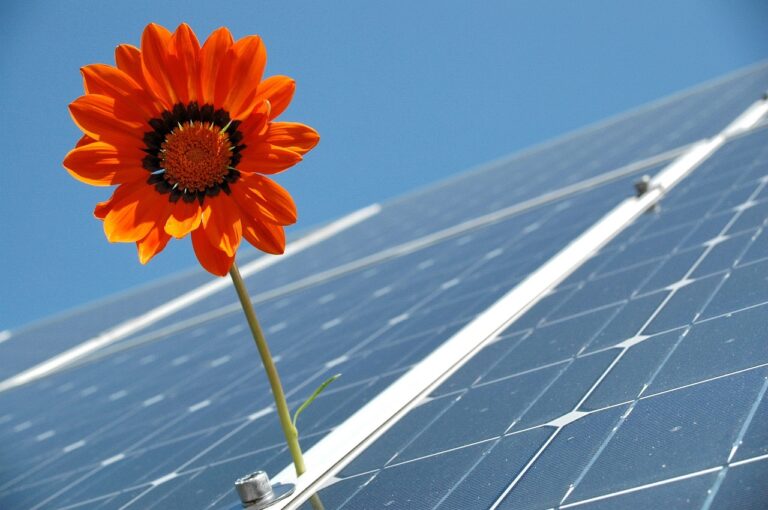 Großer Andrang beim Solarvortrag