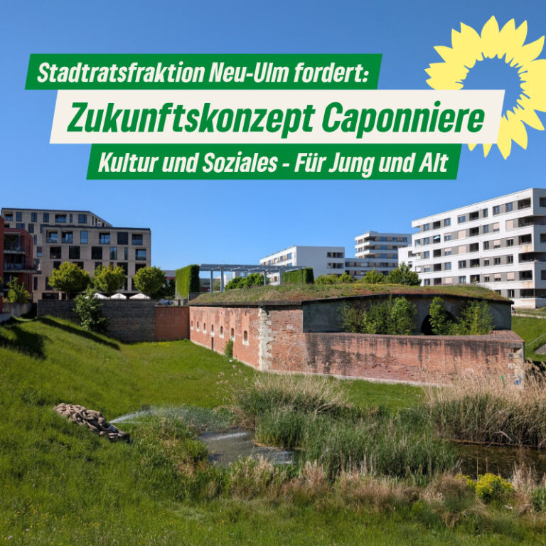 Zukunft der Caponniere 4: